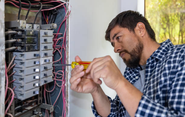 Best Affordable Electrician  in Elmendorf, TX